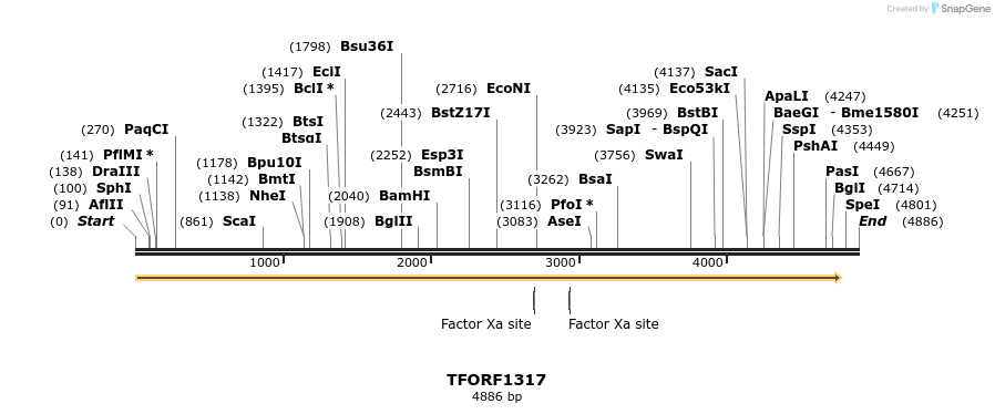 283491_map
