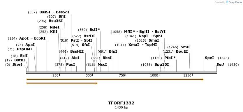 283497_map
