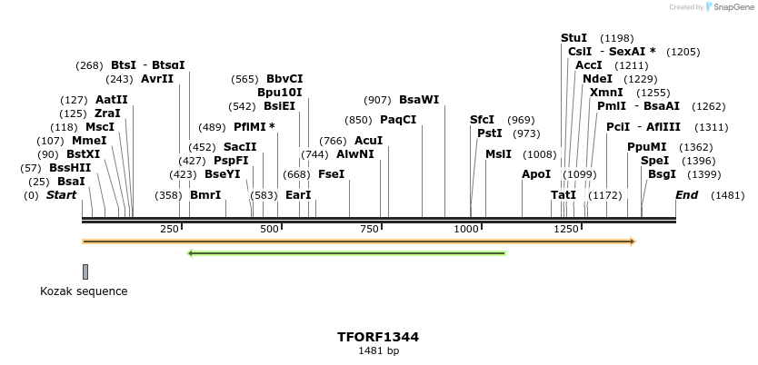 283503_map