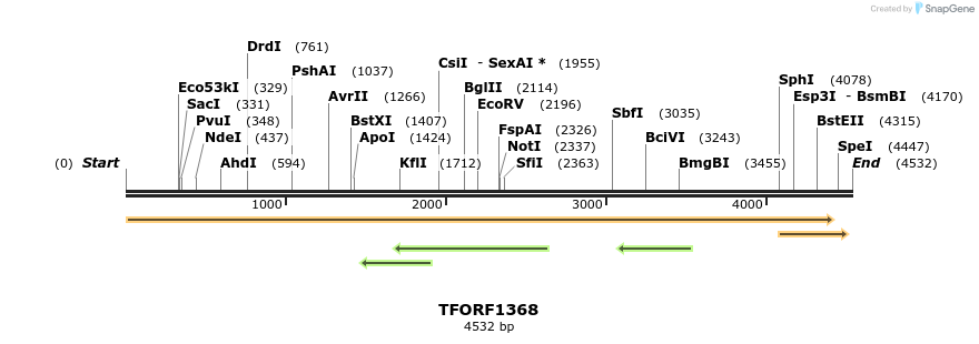 283506_map