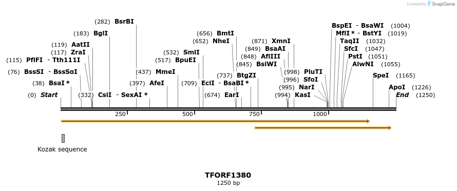 283512_map