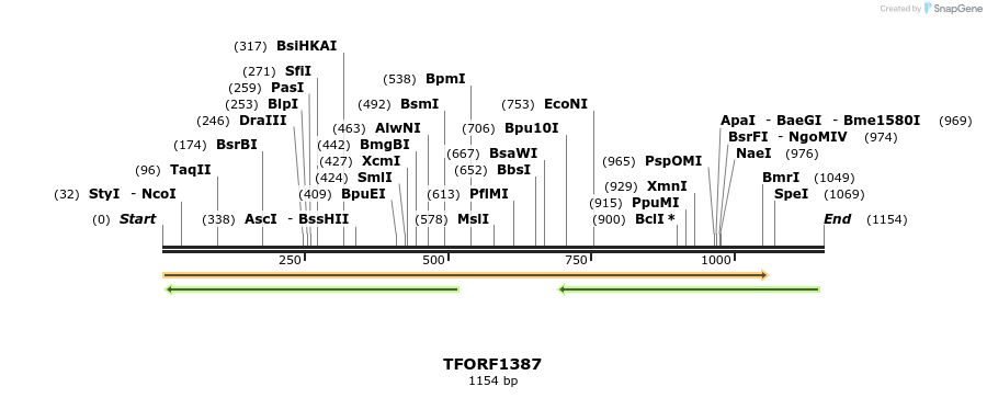 283515_map