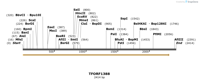 283518_map