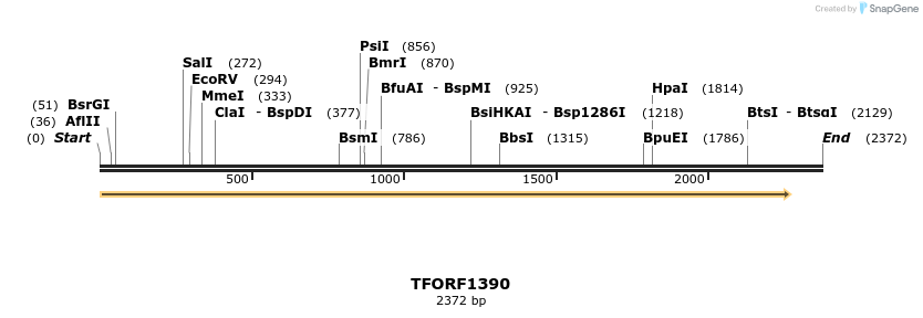 283521_map
