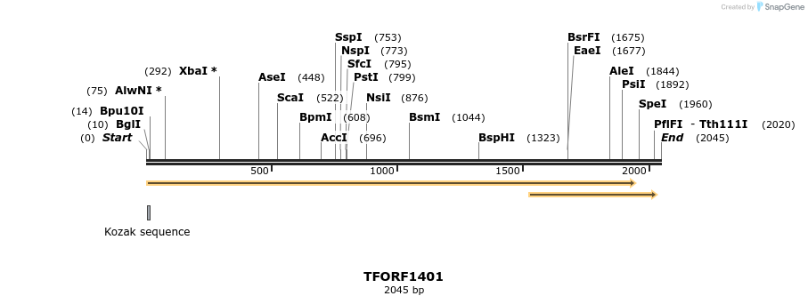 283527_map