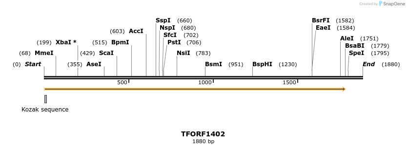 283530_map