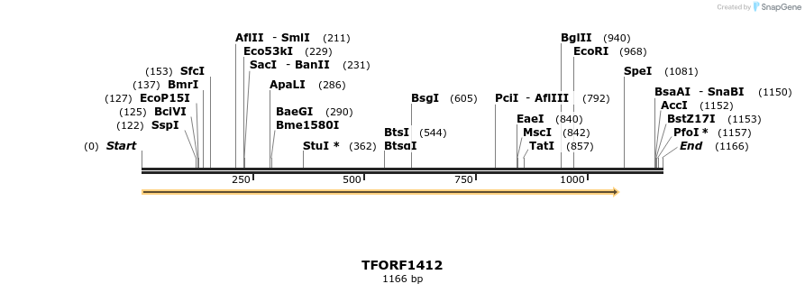 283533_map