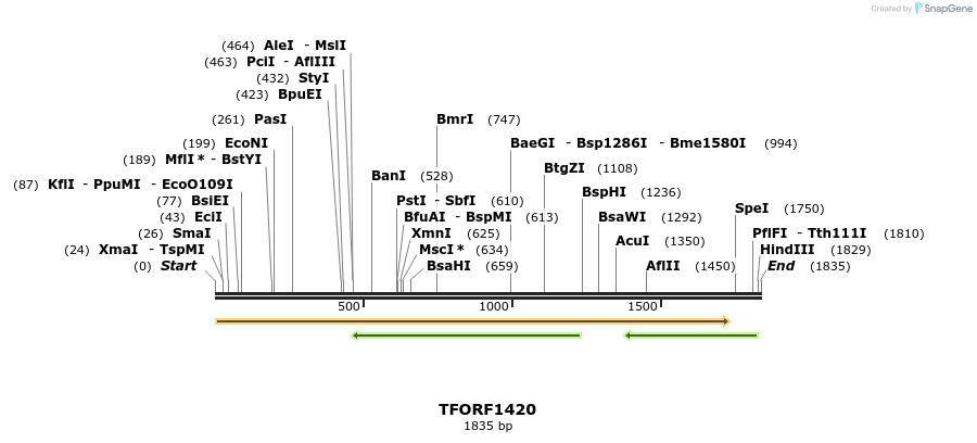 283539_map