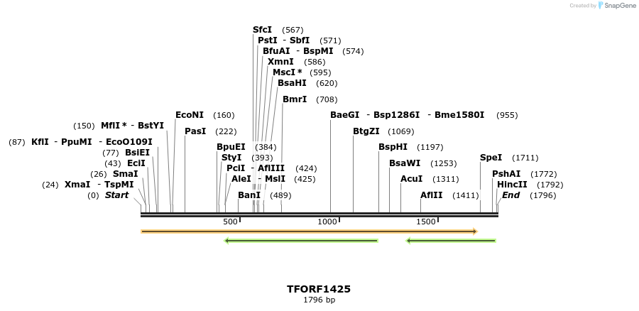 283542_map