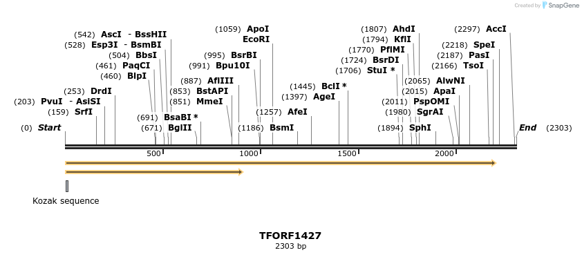 283545_map
