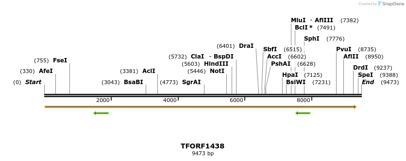283548_map