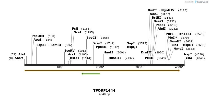 283554_map
