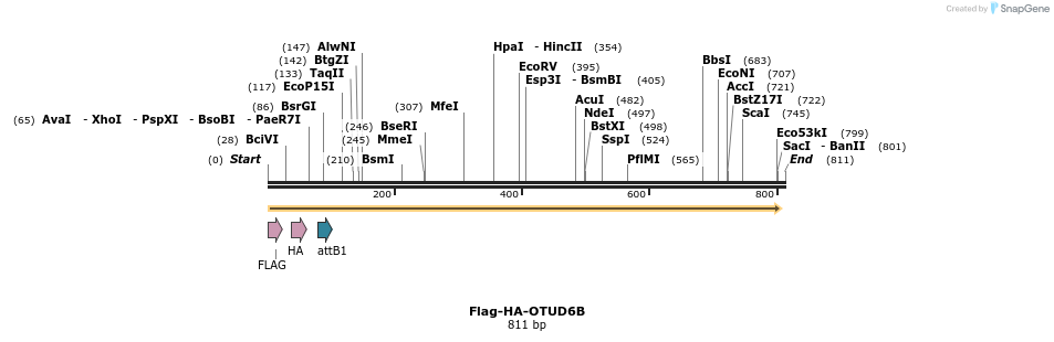 28356_map