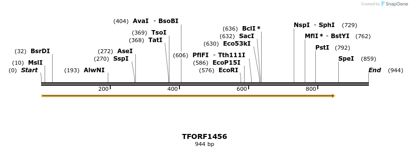 283560_map