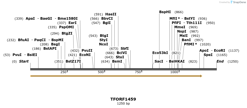 283563_map