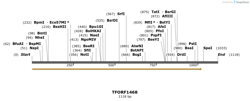 283566_map