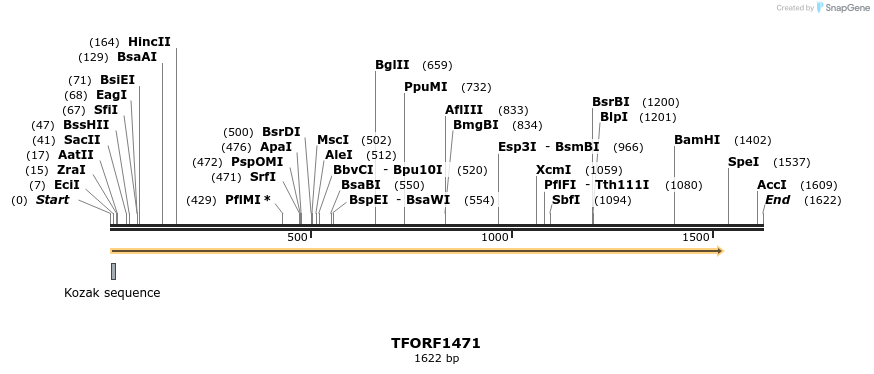 283569_map