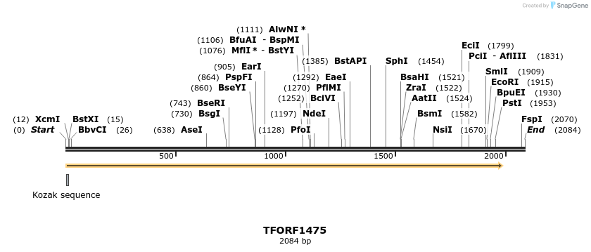 283572_map