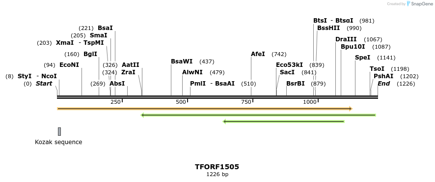 283575_map