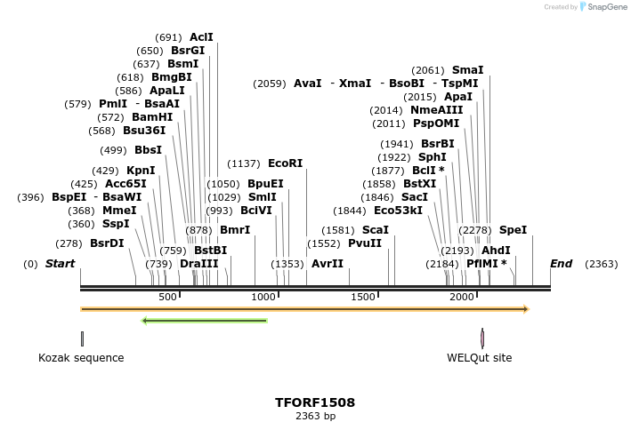 283578_map