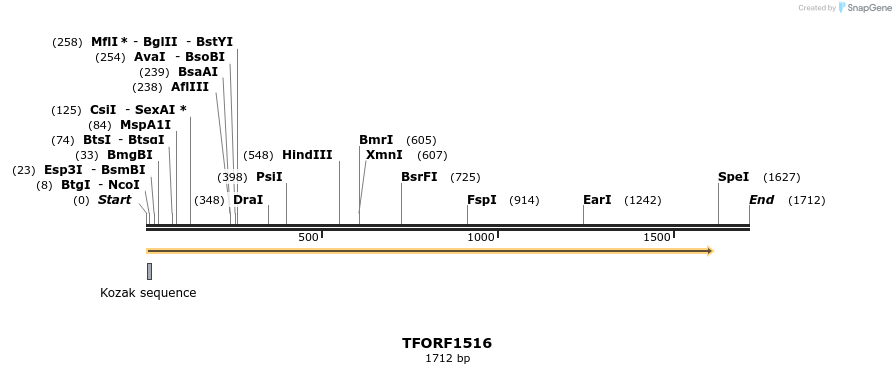 283581_map