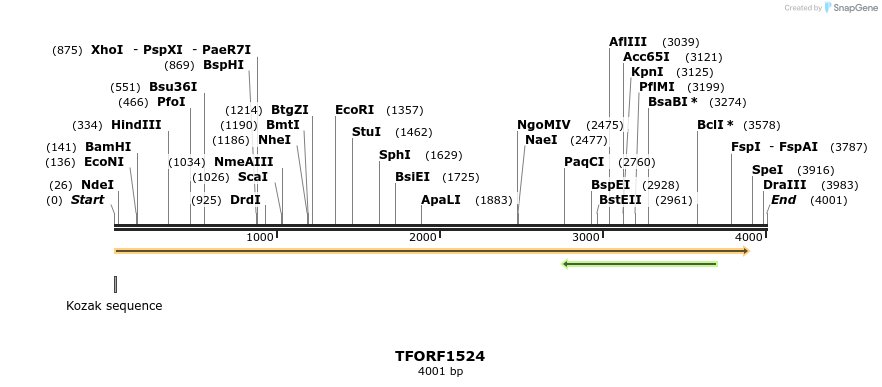 283584_map