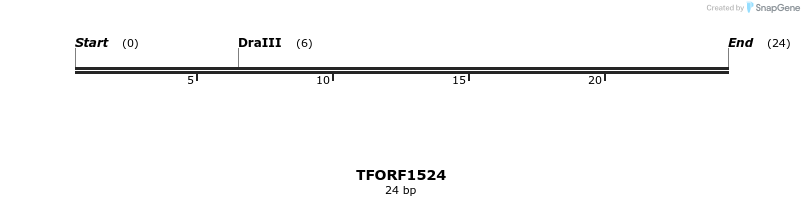 283585_map