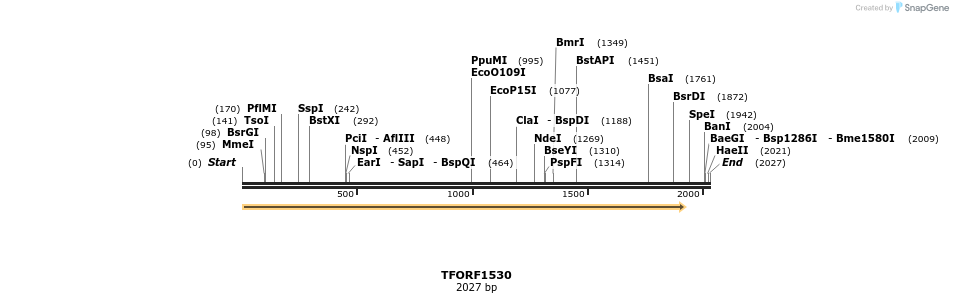 283590_map