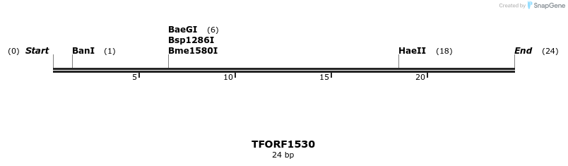 283591_map