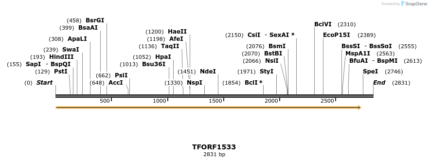 283593_map