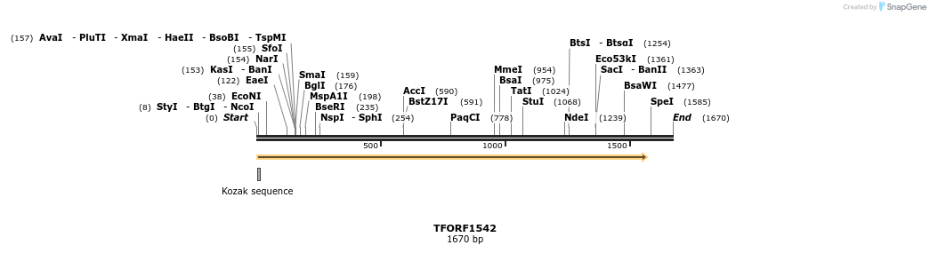 283599_map