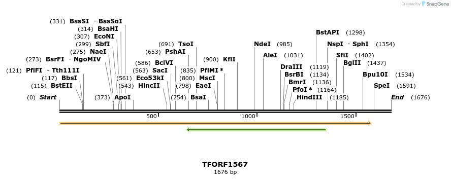 283605_map