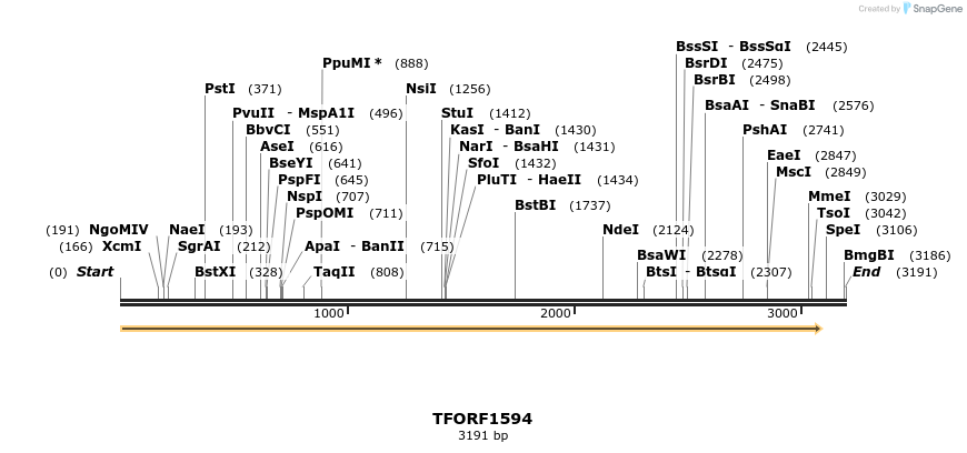 283608_map