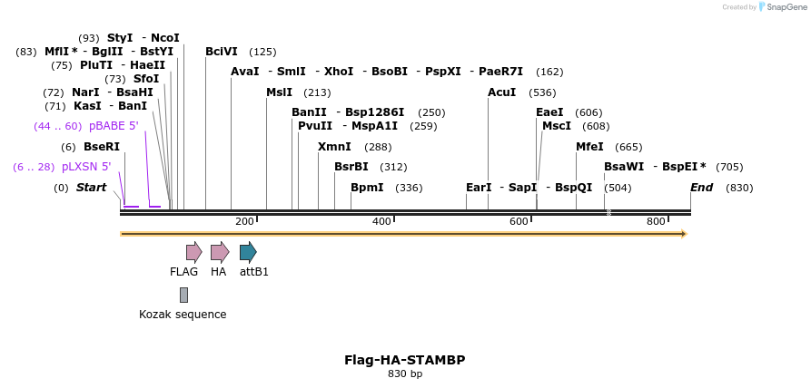 28361_map