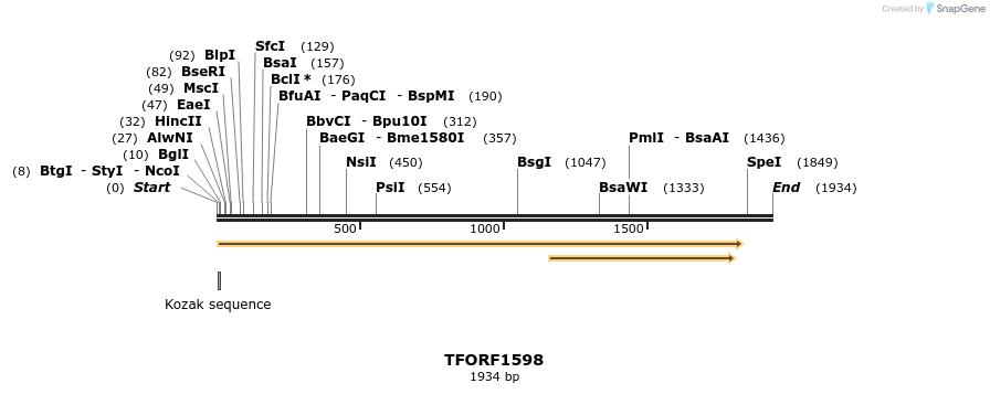 283611_map