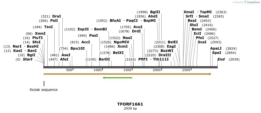283620_map