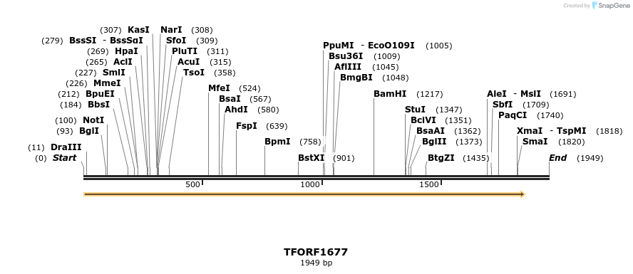 283626_map