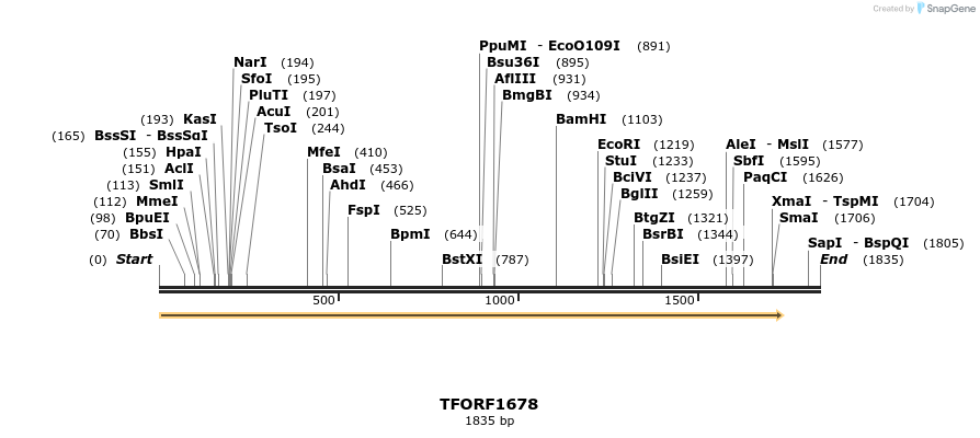 283629_map