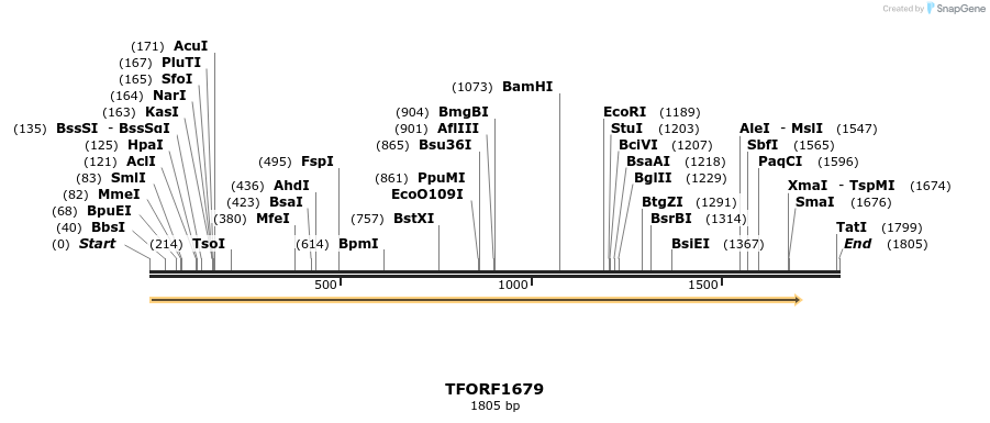 283632_map