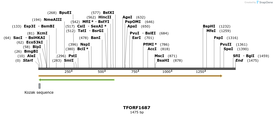 283635_map