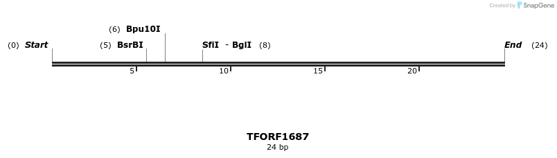 283636_map