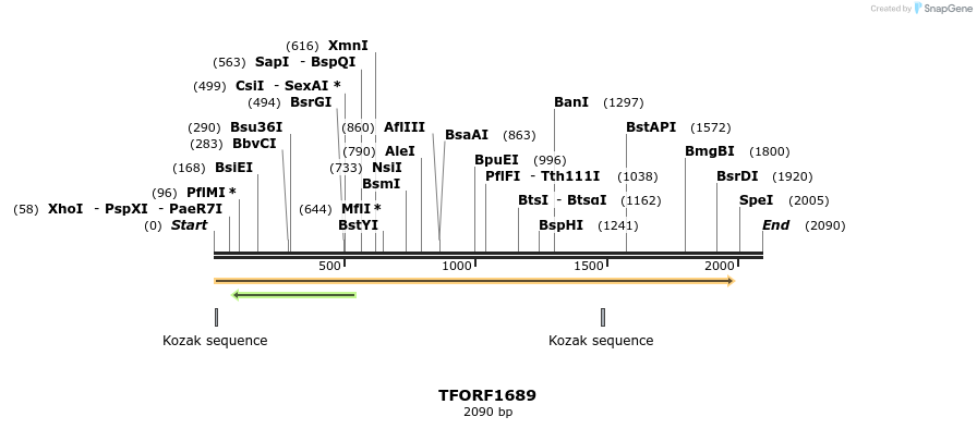 283638_map