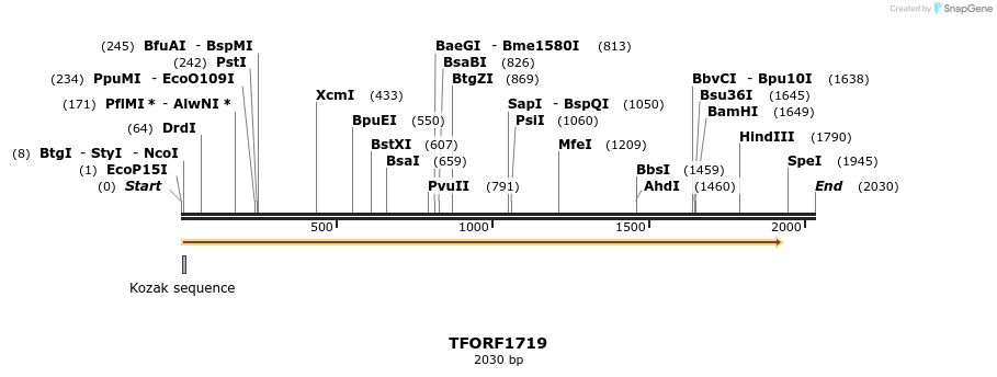 283641_map