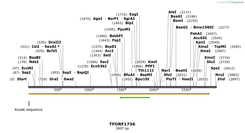 283647_map