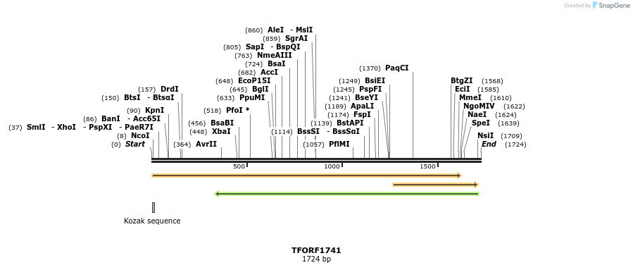 283650_map