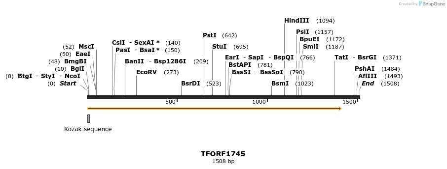 283653_map