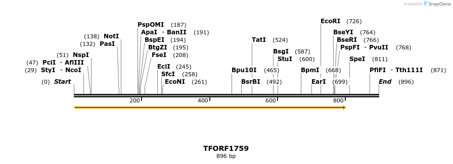 283662_map