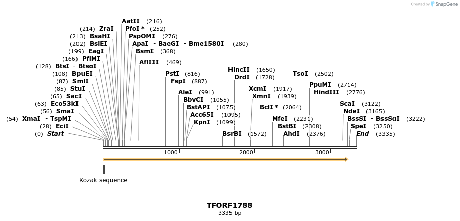283668_map