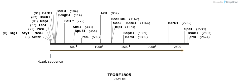 283671_map