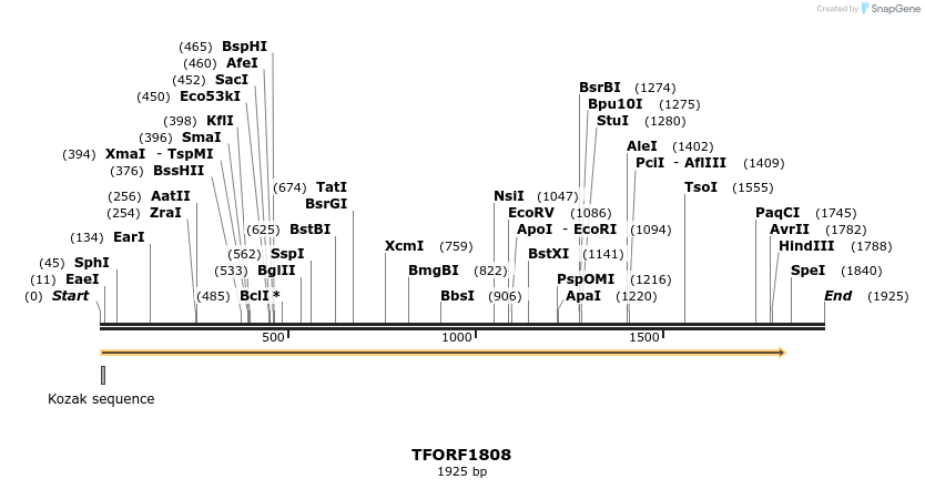 283674_map